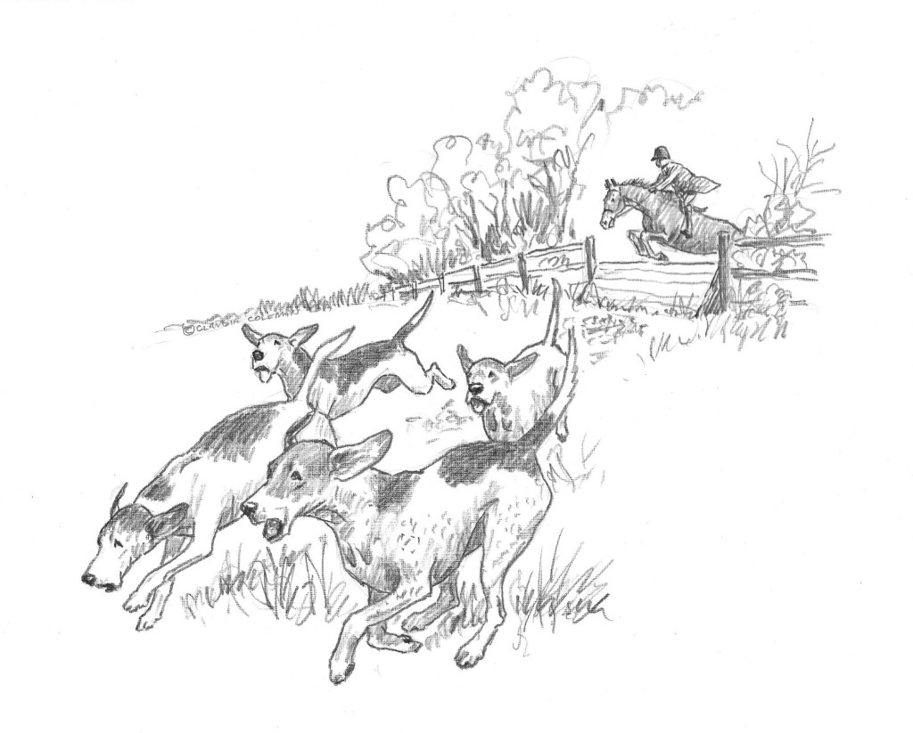 Pencil drawing of hounds running in a field with a foxhunter on a horse jumping a fence in the background